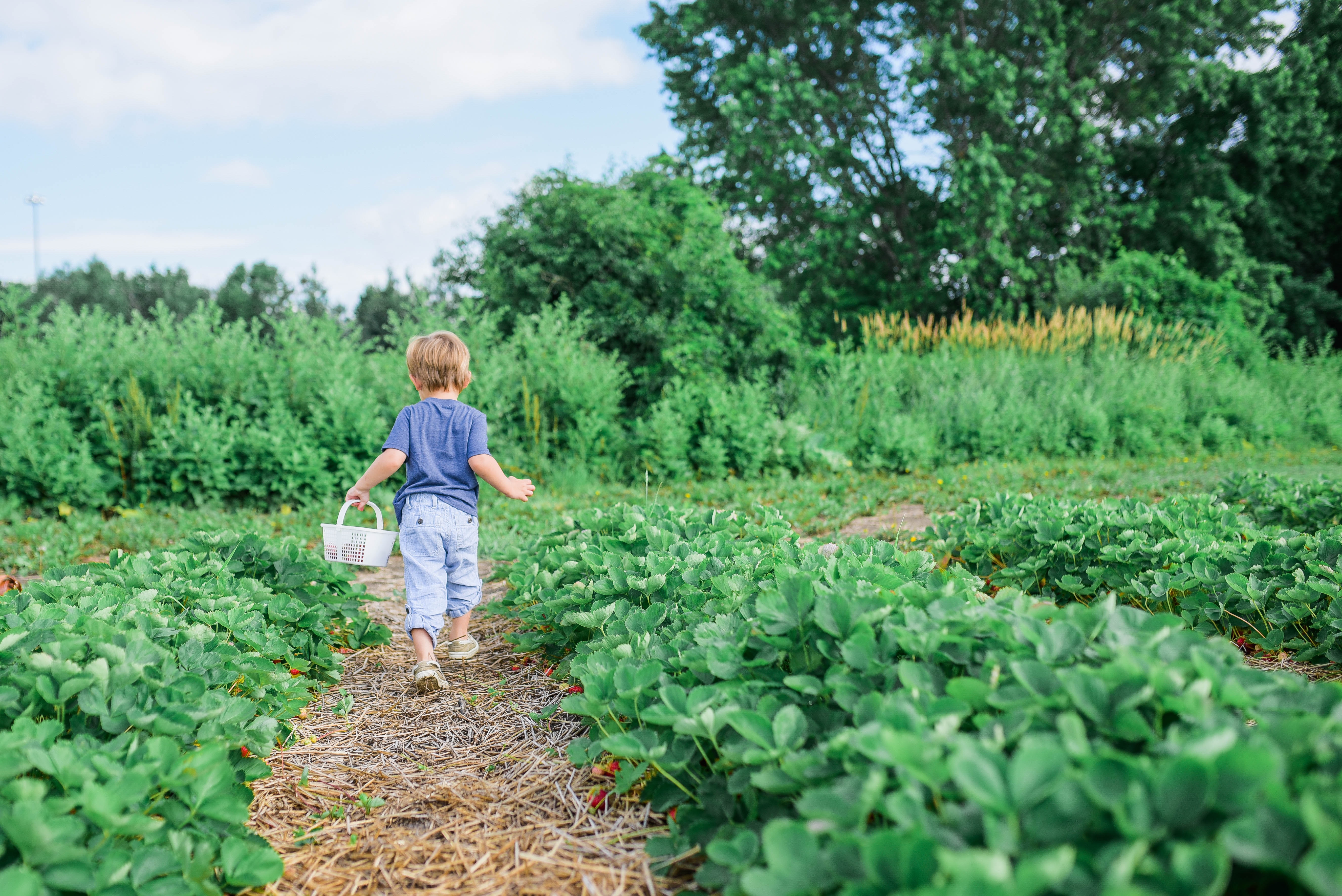 Pesticides near schools? Kids learning to garden? Two related topics!