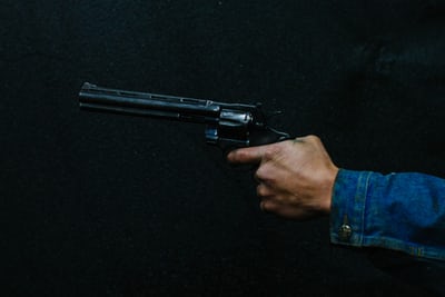 Jan Harwood - Gun Violence