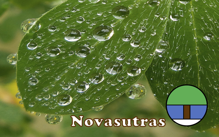 Nova Sutras-At the Nexus of Science, Consciousness and Societal Transformation