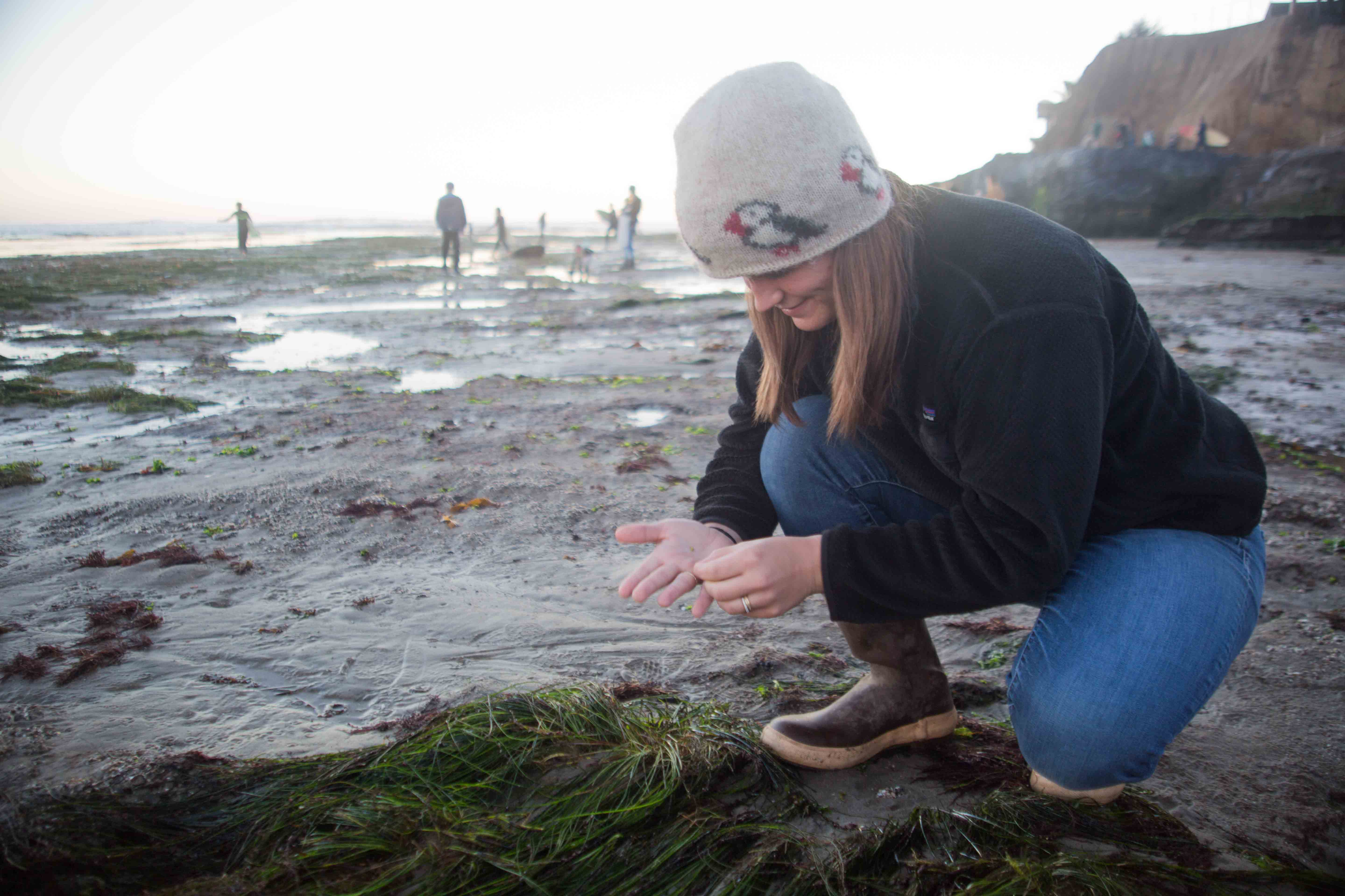 Underwater Meadows: The Seagrass of Eastcliff