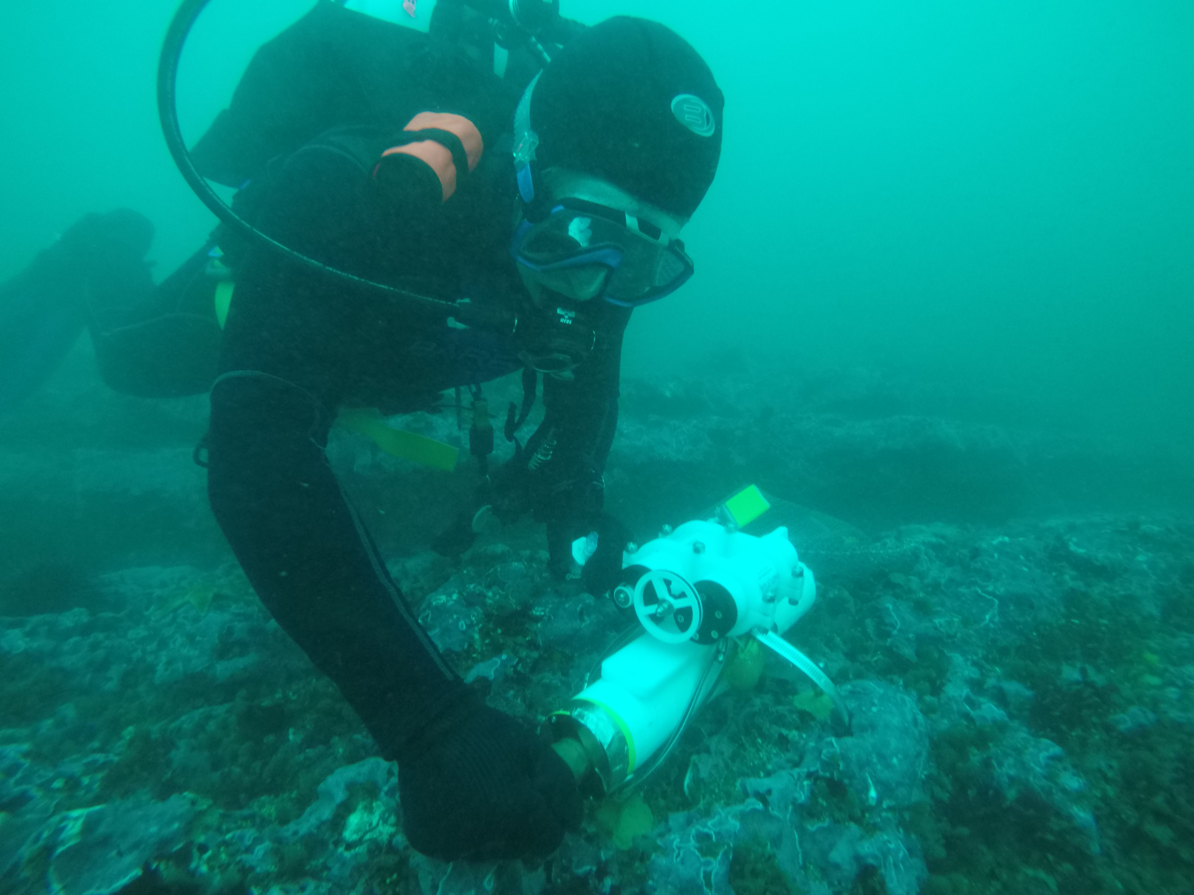 Monitoring Climate Change in the Kelp Forest With the Help of Citizen Scientists