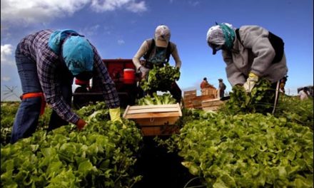 Protecting Farmworker Health:Luis Alejo on Covid-19 Protocols