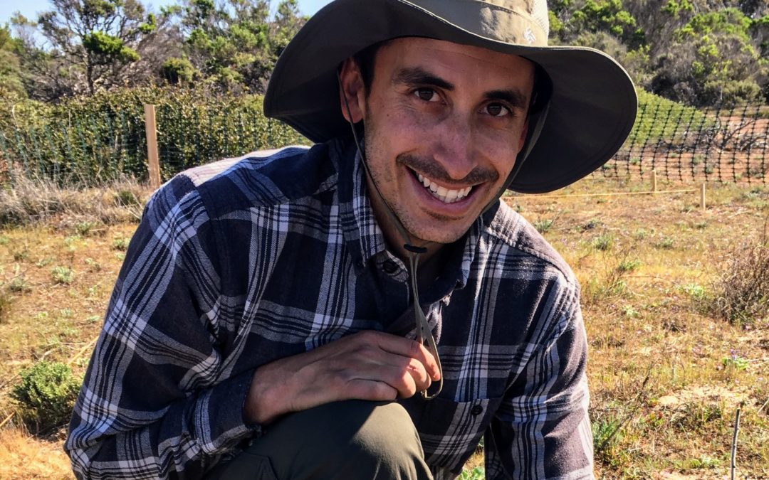 Tiny Flowers: Preserving Gilia tenuiflora