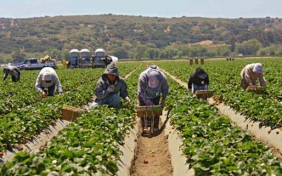 Farmworker health during covid pandemic