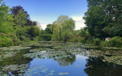 Gilda Zelin – Monet’s Garden