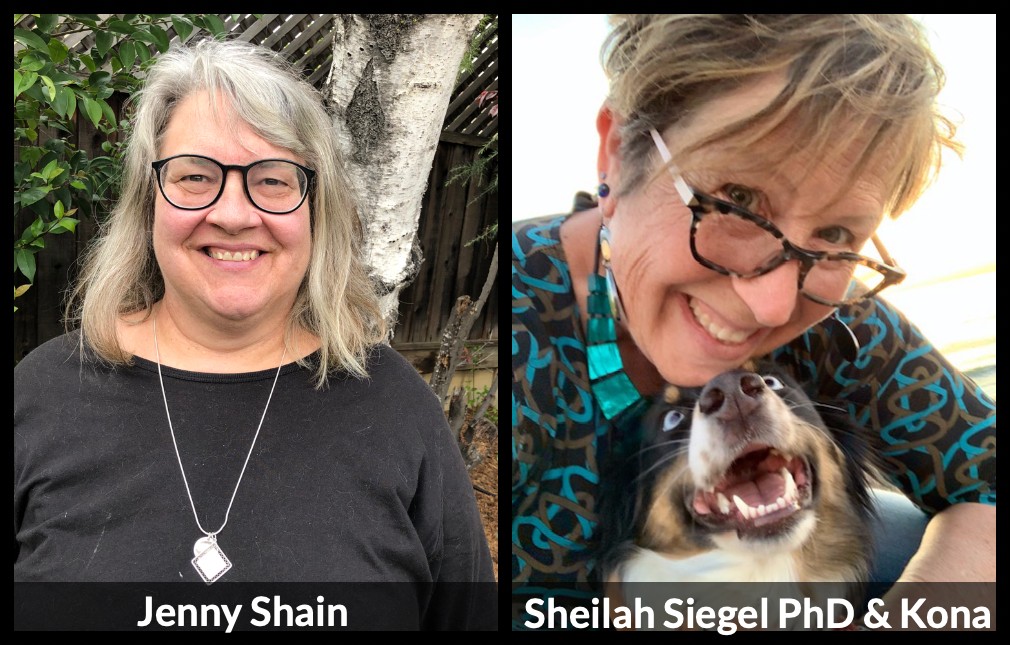 Part II: Parenting Teens with Anxiety