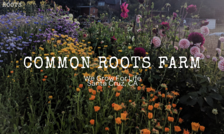 Common Roots Farm