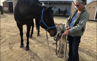 Saving Horses from Wildfire