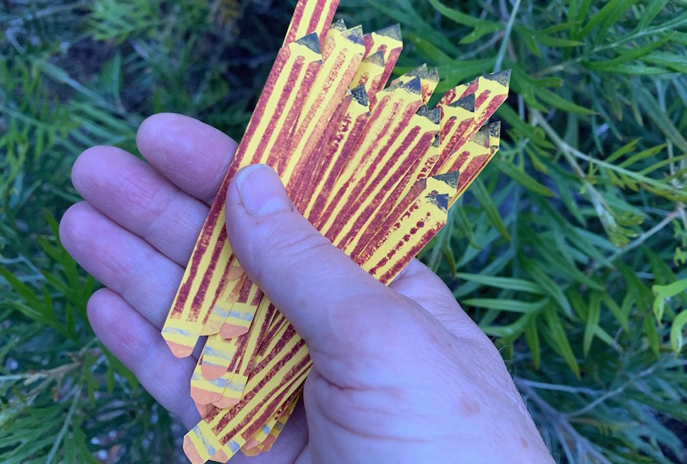 Patrice Vecchione – A Life in Poetry