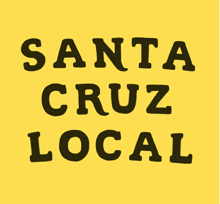 Santa Cruz Local a New News Service