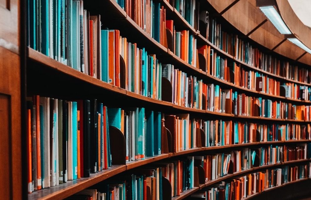 Bahia Brunelle – I Love Libraries