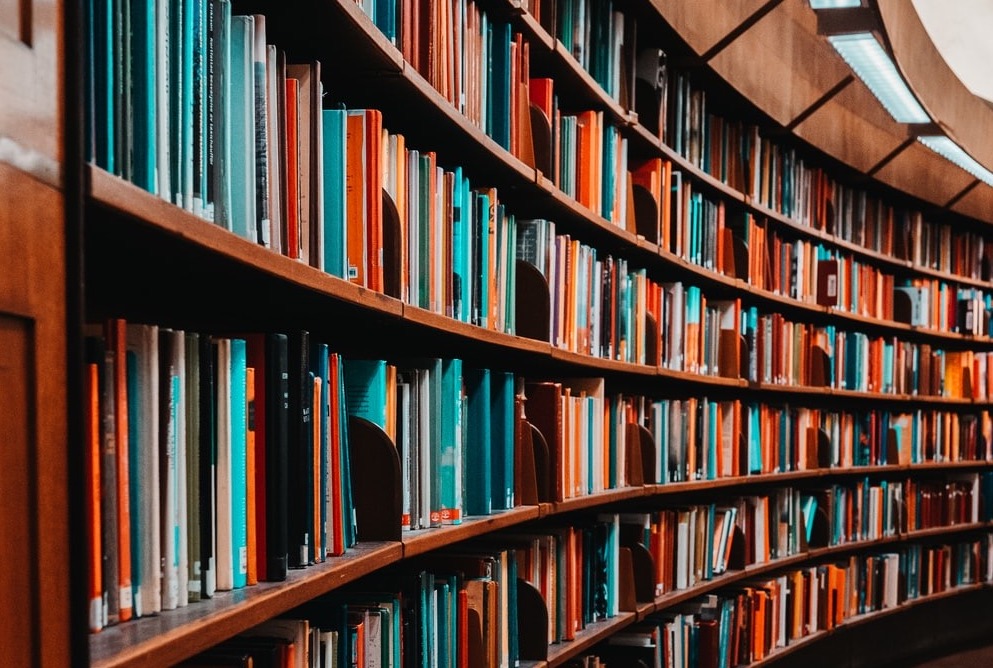 Bahia Brunelle – I Love Libraries