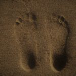 Kate Pearl - Carbon Footprint