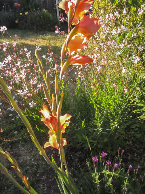 Jeri Bodemar – What’s Right with the World?