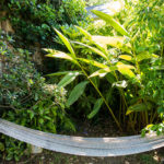 Jeri Bodemar - What Nourishes Me