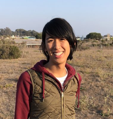 Looking Underground: What Happens in the Soil After Fires