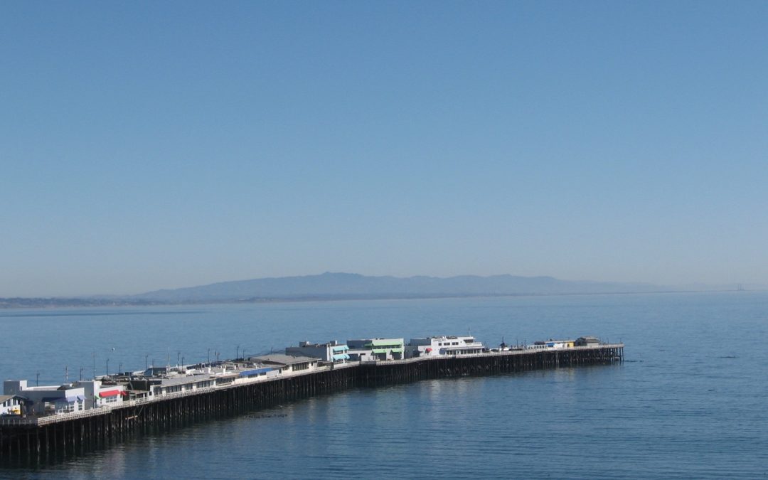 Don’t Morph the Wharf with Gillian Greensite