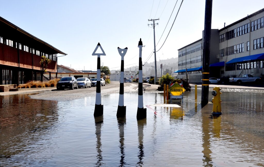 Sustainability Now!, Sunday, January 10th: “To Say Nothing of the Dog”*  Understanding connections between culture and nature in environmental art