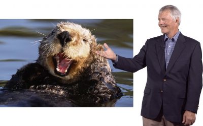 Sustainability Now!  Sunday, March 7th: There Otter be a Law! Will the Southern Sea Otter Survive? A conversation with James Estes