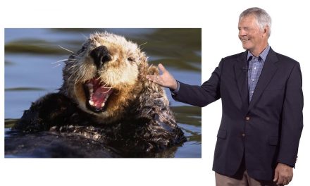 Sustainability Now!  Sunday, March 7th: There Otter be a Law! Will the Southern Sea Otter Survive? A conversation with James Estes