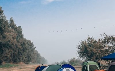 Steve Pleich – Self-Managed Encampments