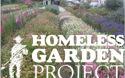 The Homeless Garden Project – a harvest of hope and transformation