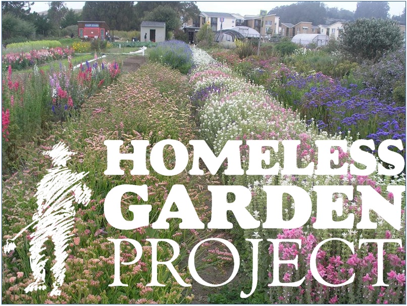The Homeless Garden Project – a harvest of hope and transformation