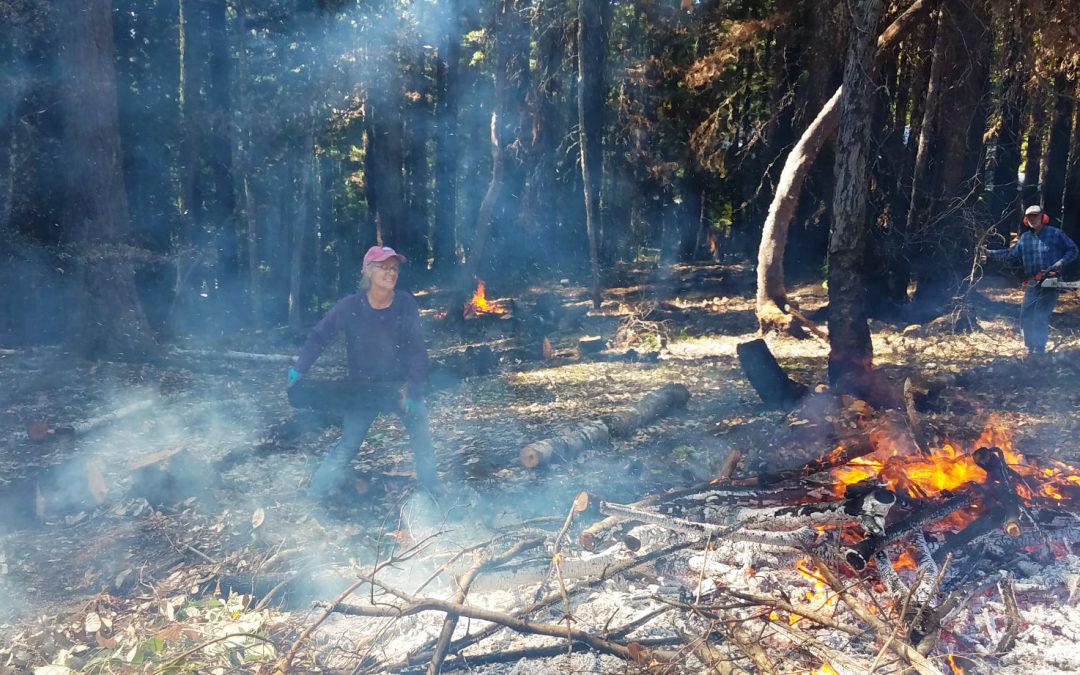 Preventing Future Fires with Defensible Space