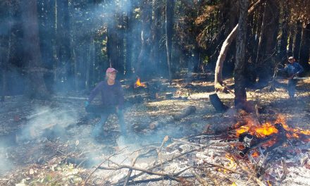 Preventing Future Fires with Defensible Space