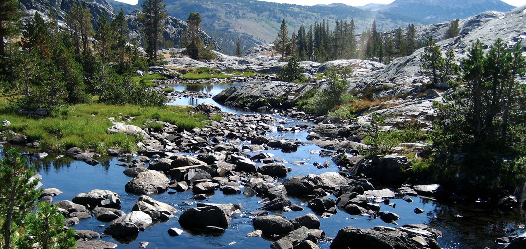 Nature as Ally for Activism with Kai Siedenburg