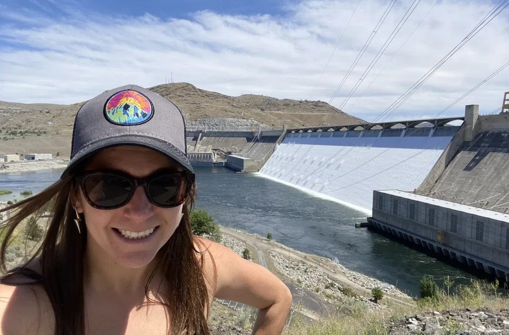 Sustainability Now! Sunday, June 13th, 5-6 PM: Making Solar Law and Solar Sausages: How It’s Done in California, with Allie Detrio, Chief Strategist of Reimagine Power