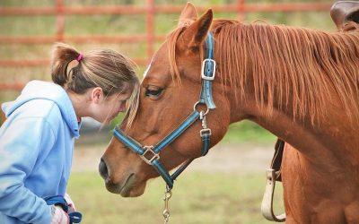 Equine-Assisted Therapy in Santa Cruz County