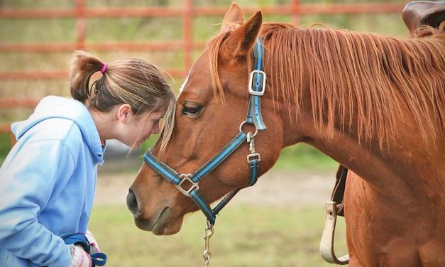 Equine-Assisted Therapy in Santa Cruz County