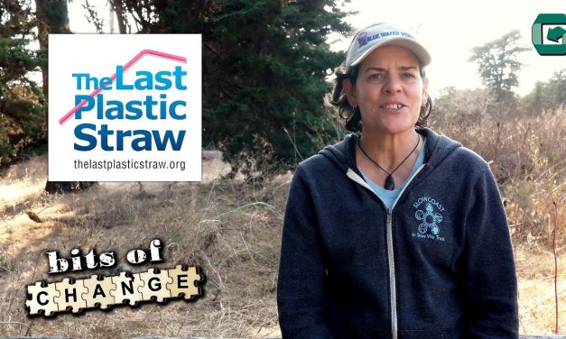 Sustainability Now!  July 25, 5-6 PM: That’s the Last Straw! with Jackie Nuñez, founder of The Last Plastic Straw