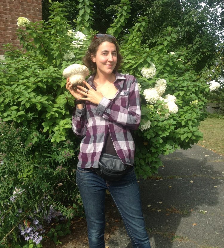 Sustainability Now! Sunday, October 3rd, 5-6 PM: There’s Fungus Among Us–Mycopermaculture, Mycomimicry, and Mycopsychology, with Maya Elson of CoRenewal