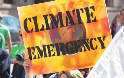 Youth Climate March Organizers