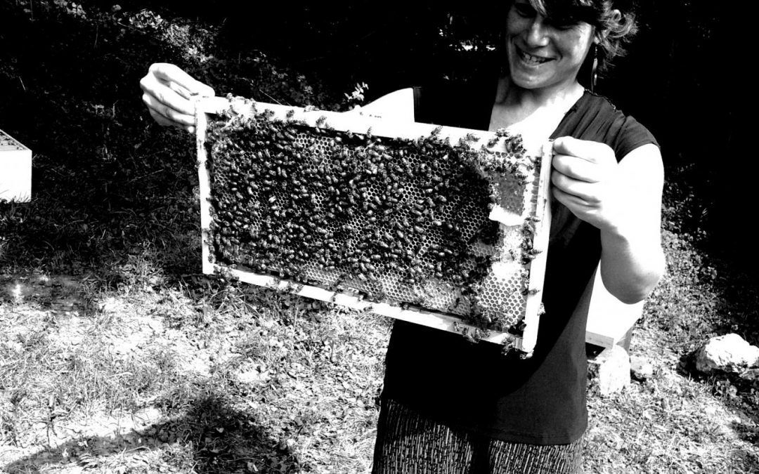 Sustainability Now! Sunday, April 14th: Being in the World with Bees (or, What is it to Be a Bee?)  with Professor Eve Bratman