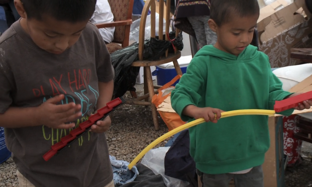 Campaign for Organic and Regenerative Agriculture