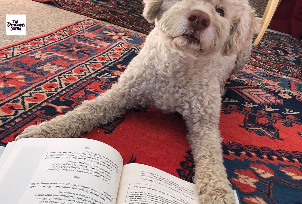 Book Excerpts and Callers with Katherine on the Dream Journal