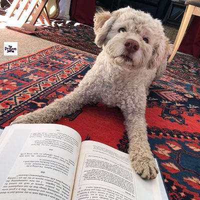 Book Excerpts and Callers with Katherine on the Dream Journal