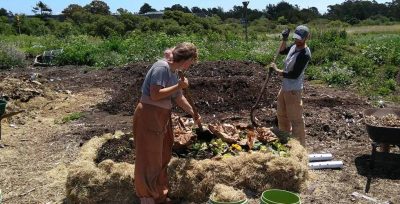 Sustainability Now! Sunday, February 20th: From Food Waste to Soil at Hard Core Compost