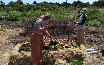 Sustainability Now! Sunday, February 20th: From Food Waste to Soil at Hard Core Compost