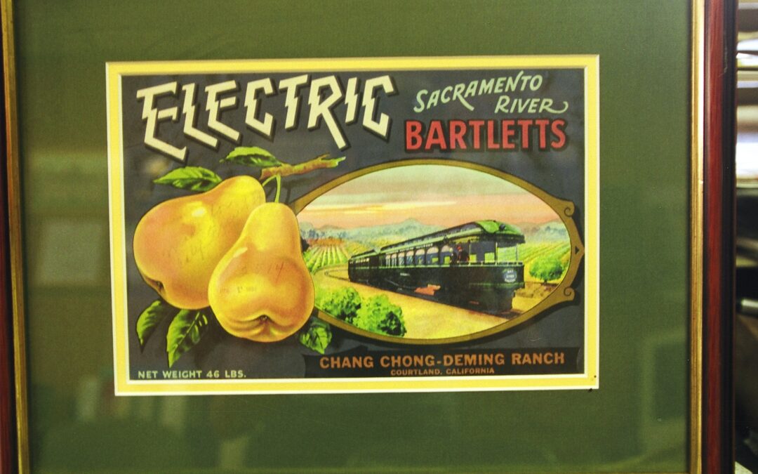 James Houston and Diane Cooley on Santa Cruz History