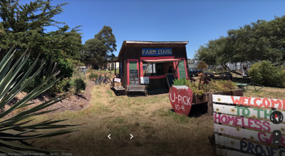 Homeless Garden Project