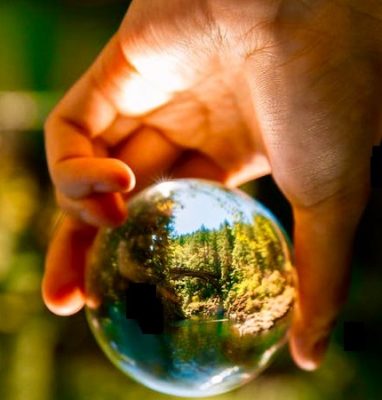 Bahia Brunelle - Conservation Conversation