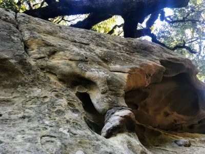 Sandstone features at Castle Rock State Park