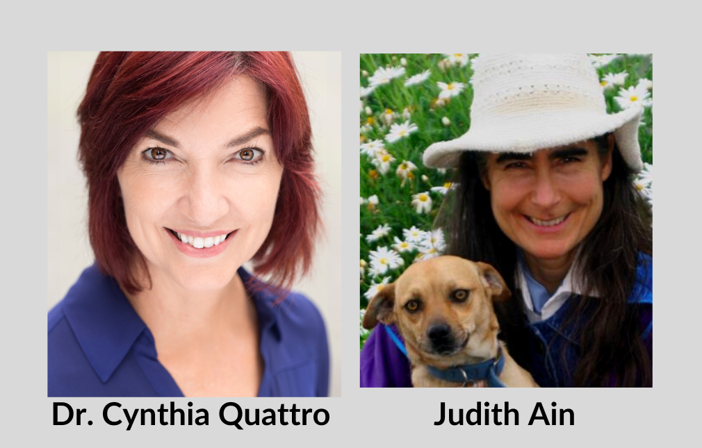 Mental Health Effects of Lyme Disease (Remix)