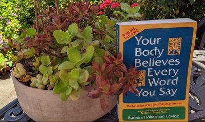 Jeri Bodemar - Reframed