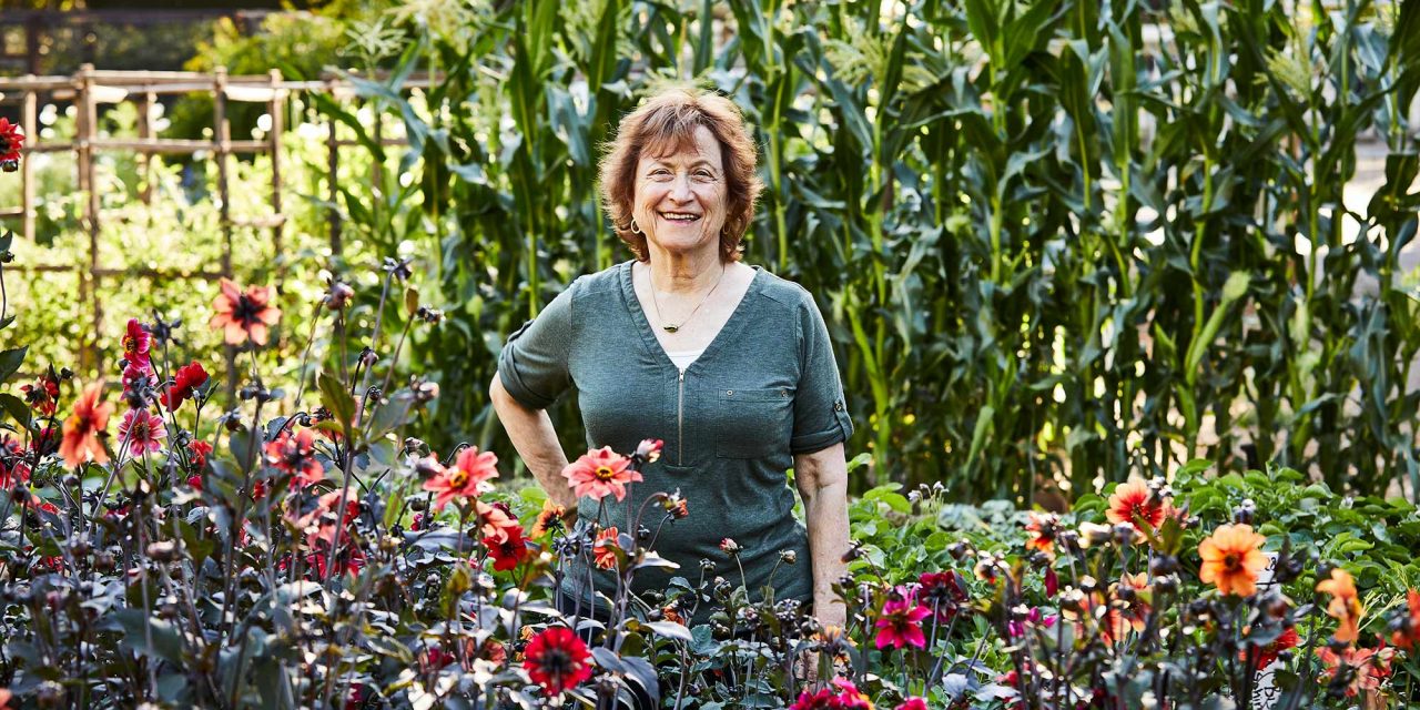 Sustainability Now! Sunday, July 10, 5-6 PM: In Santa Cruz, July is Not too Late to Plant Seeds! with Renee Shepherd of Renee’s Garden