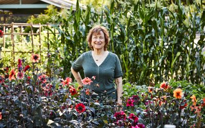 Sustainability Now! Sunday, July 10, 5-6 PM: In Santa Cruz, July is Not too Late to Plant Seeds! with Renee Shepherd of Renee’s Garden